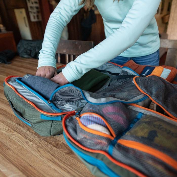 Travel companion backpack