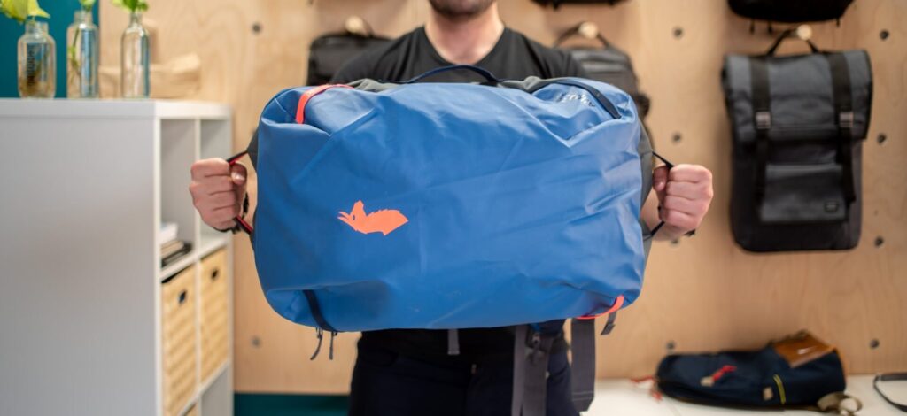 Travel companion backpack
