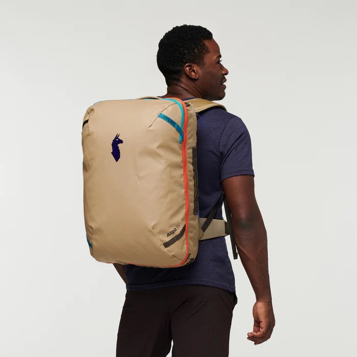 Travel companion backpack