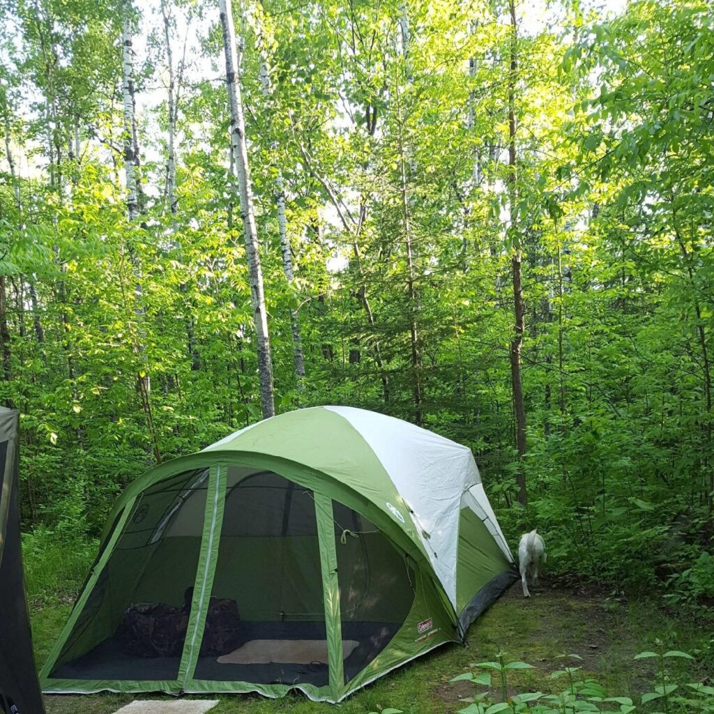 Steel Creek Tent