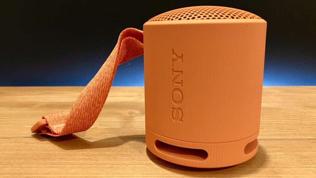 Sony SRS-XB100