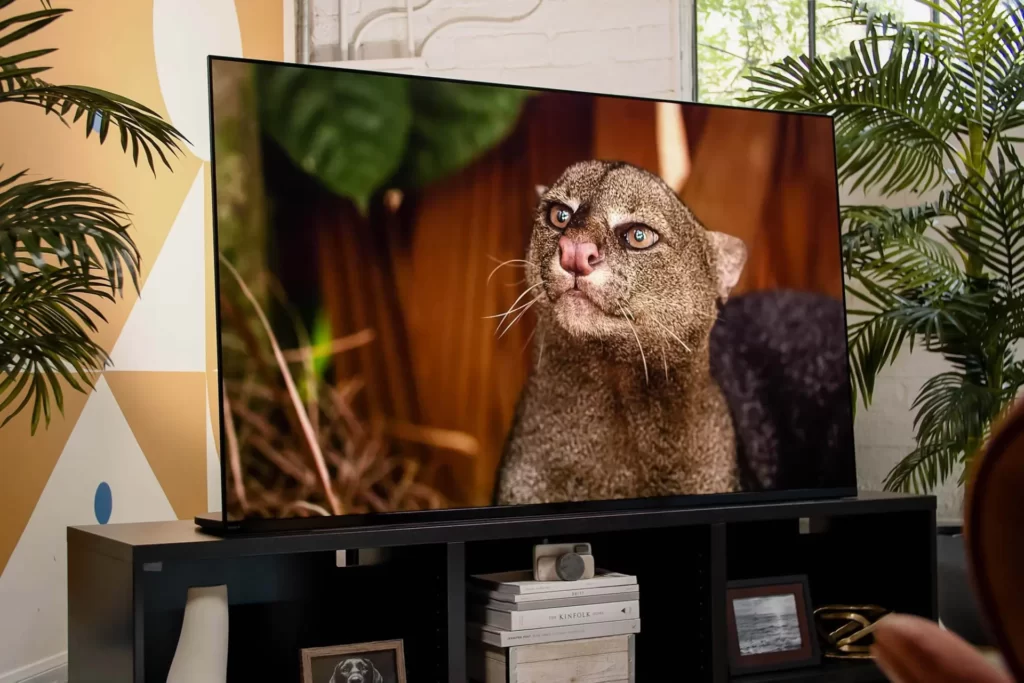 Sony A95K OLED Review
